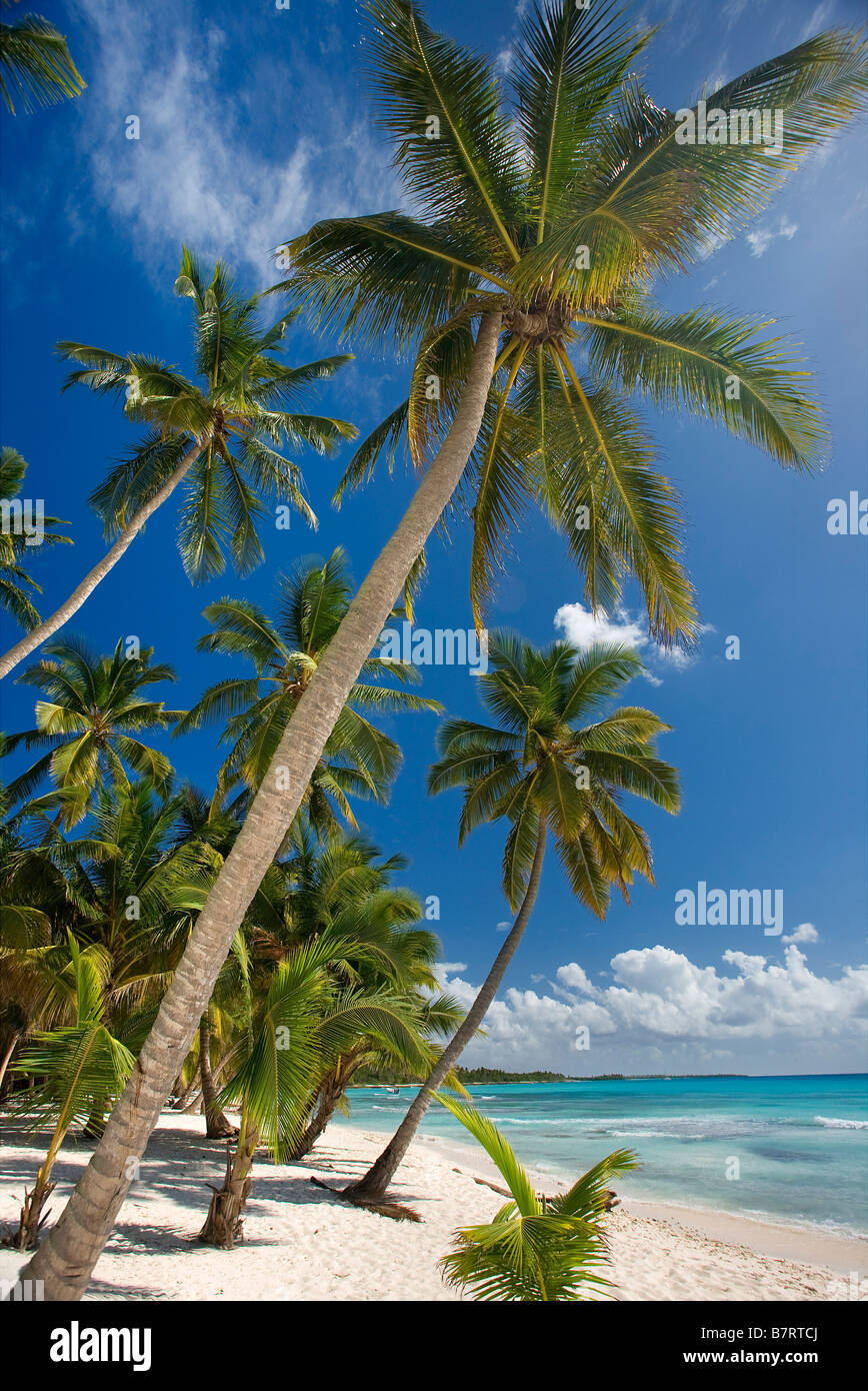 STRAND AUF ISLA SAONA PARQUE NATIONAL DEL ESTE DOMINIKANISCHE REPUBLIK KARIBIK Stockfoto