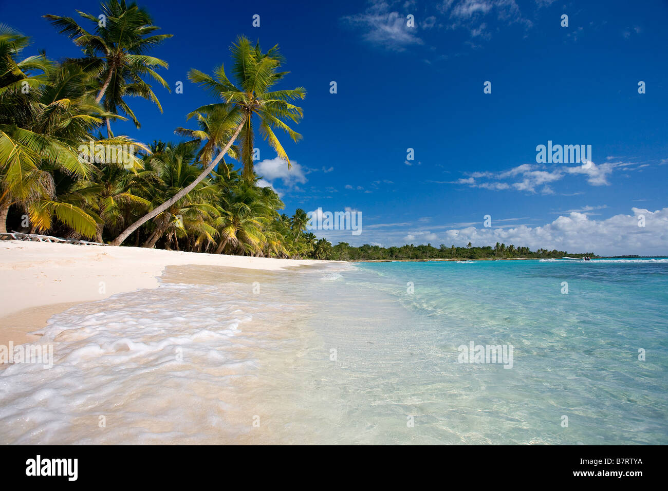 STRAND AUF ISLA SAONA PARQUE NATIONAL DEL ESTE DOMINIKANISCHE REPUBLIK KARIBIK Stockfoto