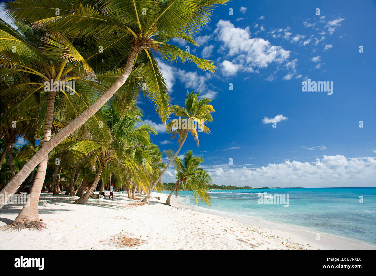 STRAND AUF ISLA SAONA PARQUE NATIONAL DEL ESTE DOMINIKANISCHE REPUBLIK KARIBIK Stockfoto