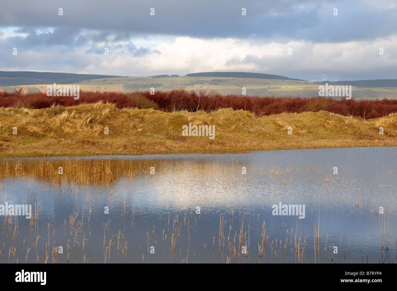 Düne System Qualitätsorientierung National Nature Reserve Glamorgan Wales Stockfoto
