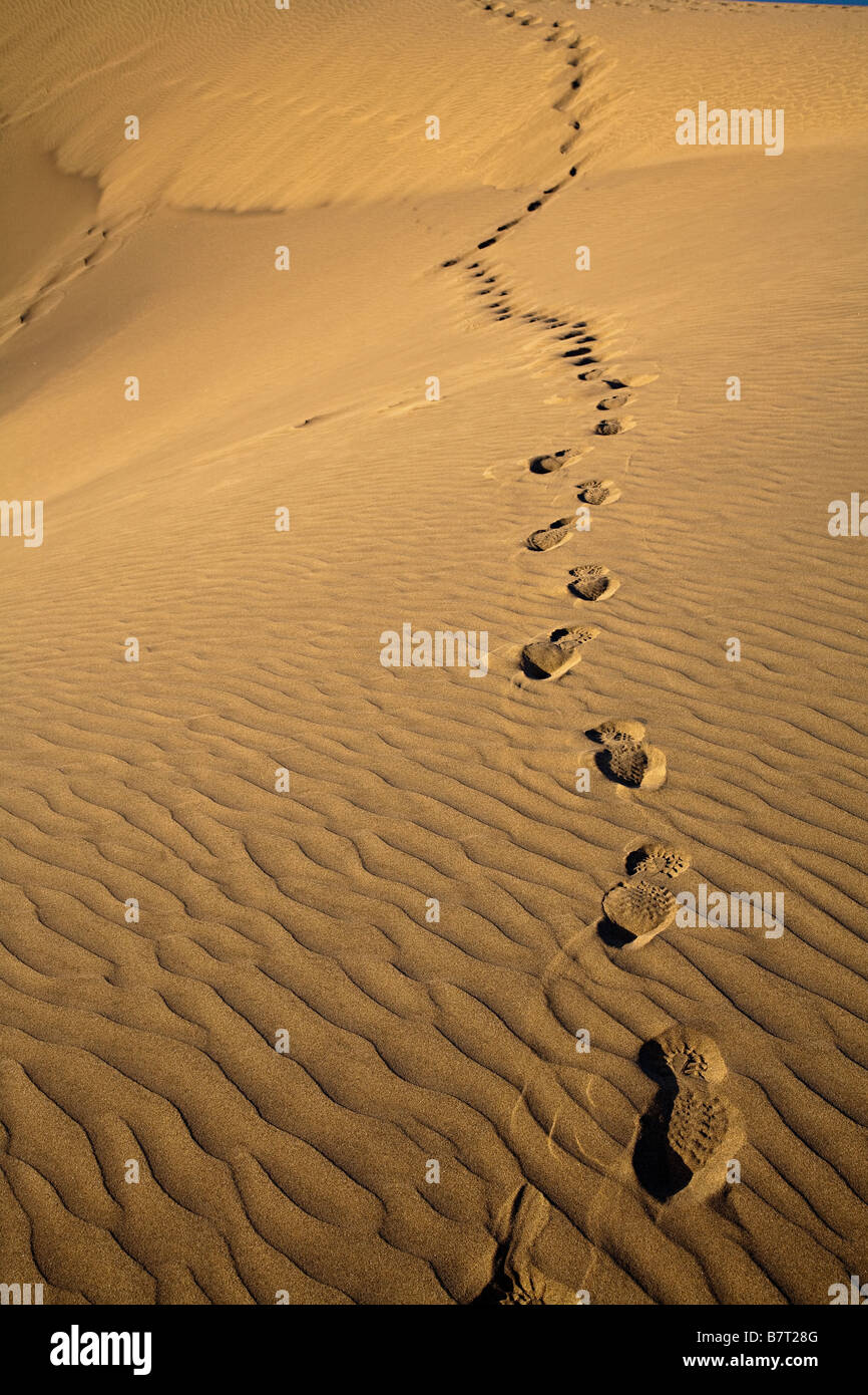 Linie der Fußspuren im Sand Dünen Maspalomas Gran Canaria Spanien Stockfoto
