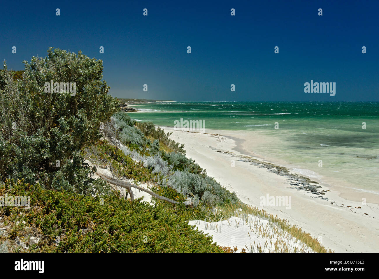 Bush-Küste und Sanddünen Western Australia Küste zwischen Lancelin und Cervantes Stockfoto