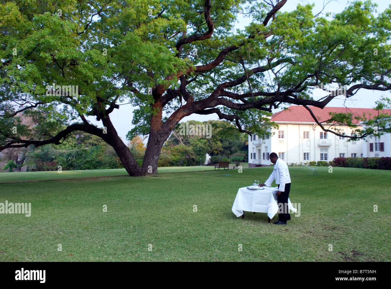 High Tea vorbereitet auf dem Rasen im Victoria Falls Hotel Stockfoto