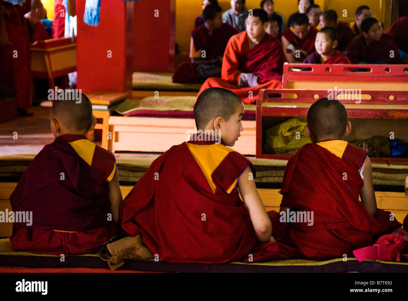 Buddhistische Schüler Gandantegchinlen Khiid Kloster, Ulan Bator, Mongolei Stockfoto