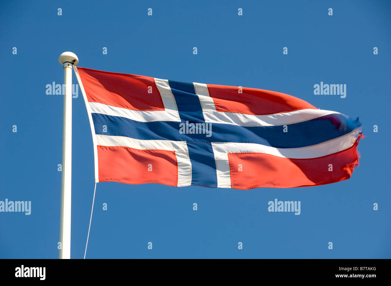 Norwegische Flagge, die an einem sonnigen Tag von einem weißen Fahnenmast aus fliegt. Vor einem klaren blauen Himmel gesehen. Stockfoto