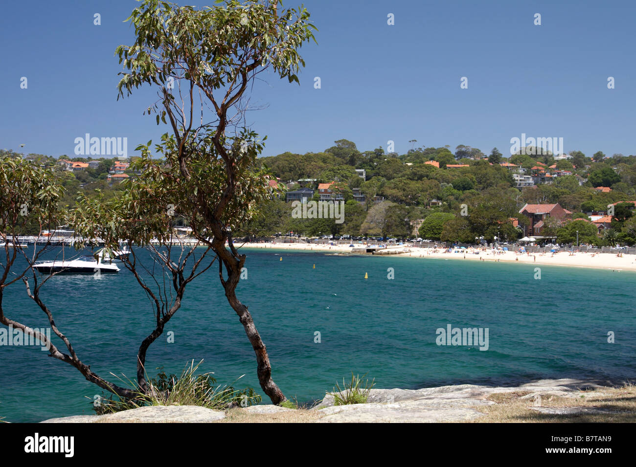 Sonnenanbeter und Schwimmer am Balmoral Beach in North Sydney Stockfoto