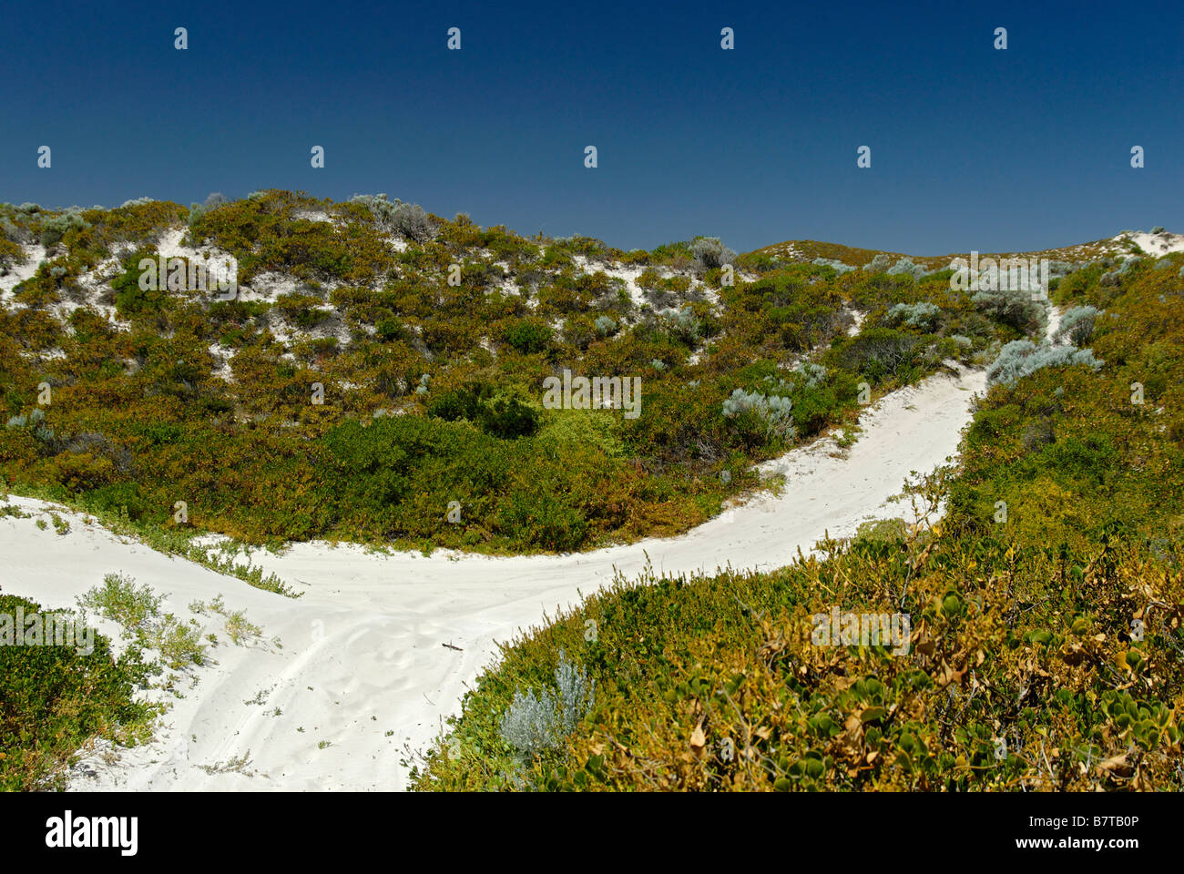 Bush und Sanddünen Western Australia Küste zwischen Lancelin und Cervantes Stockfoto