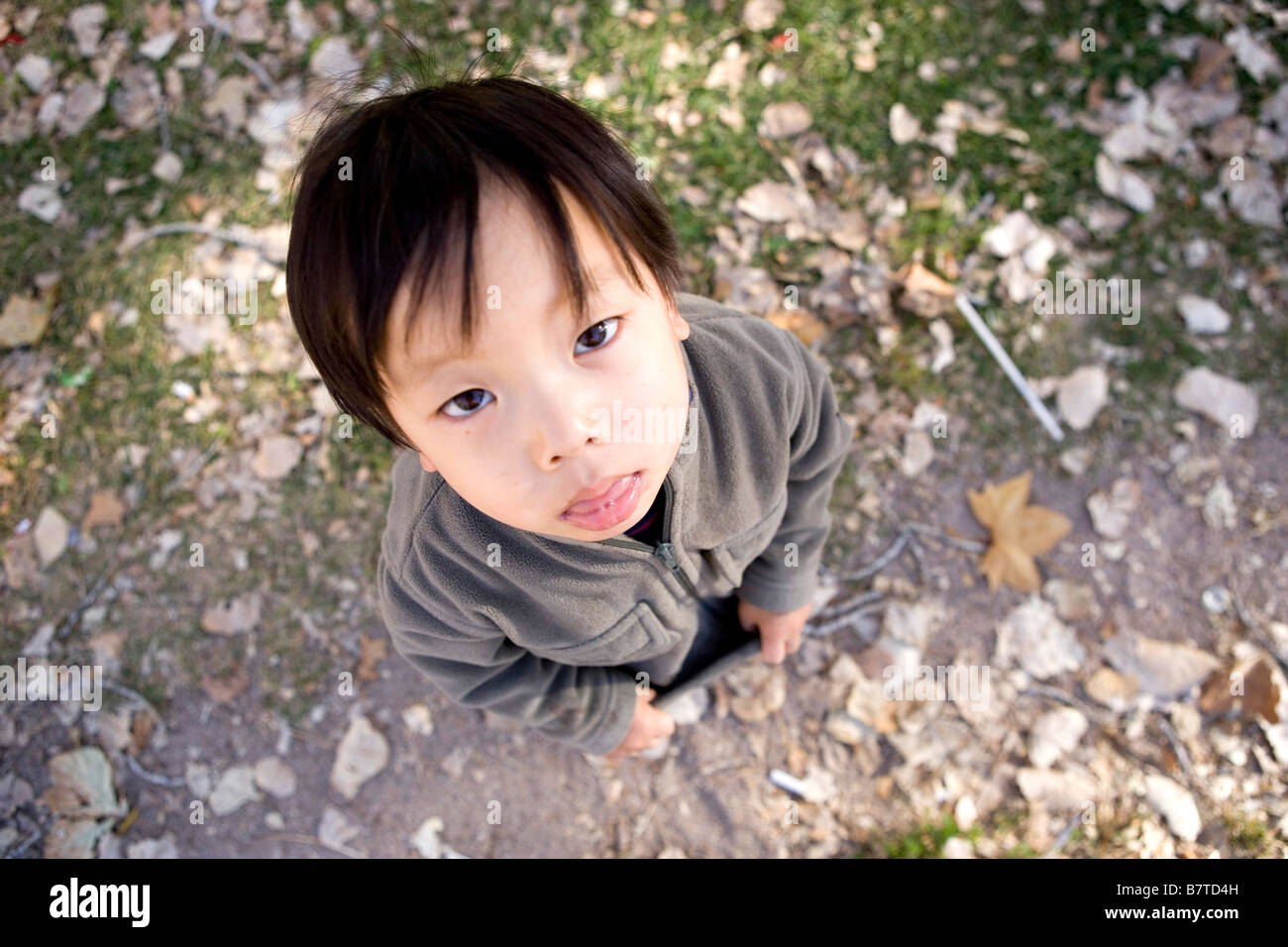 Hohen Winkel Portrait mürrisch zwei Jahre alten japanischen Jungen Stockfoto