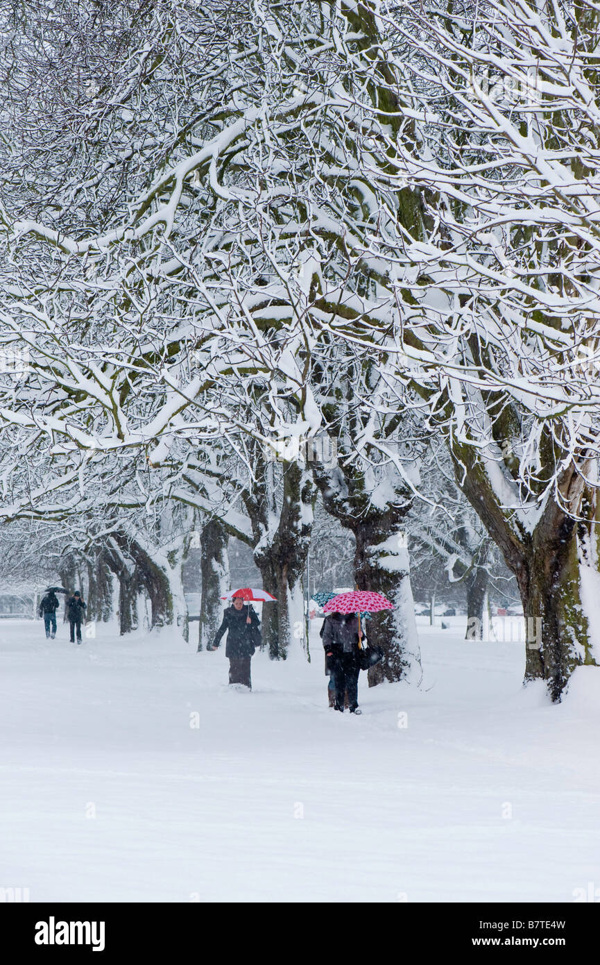 Ealing Common bedeckt Schnee Februar Ealing W5 London Vereinigtes Königreich Stockfoto