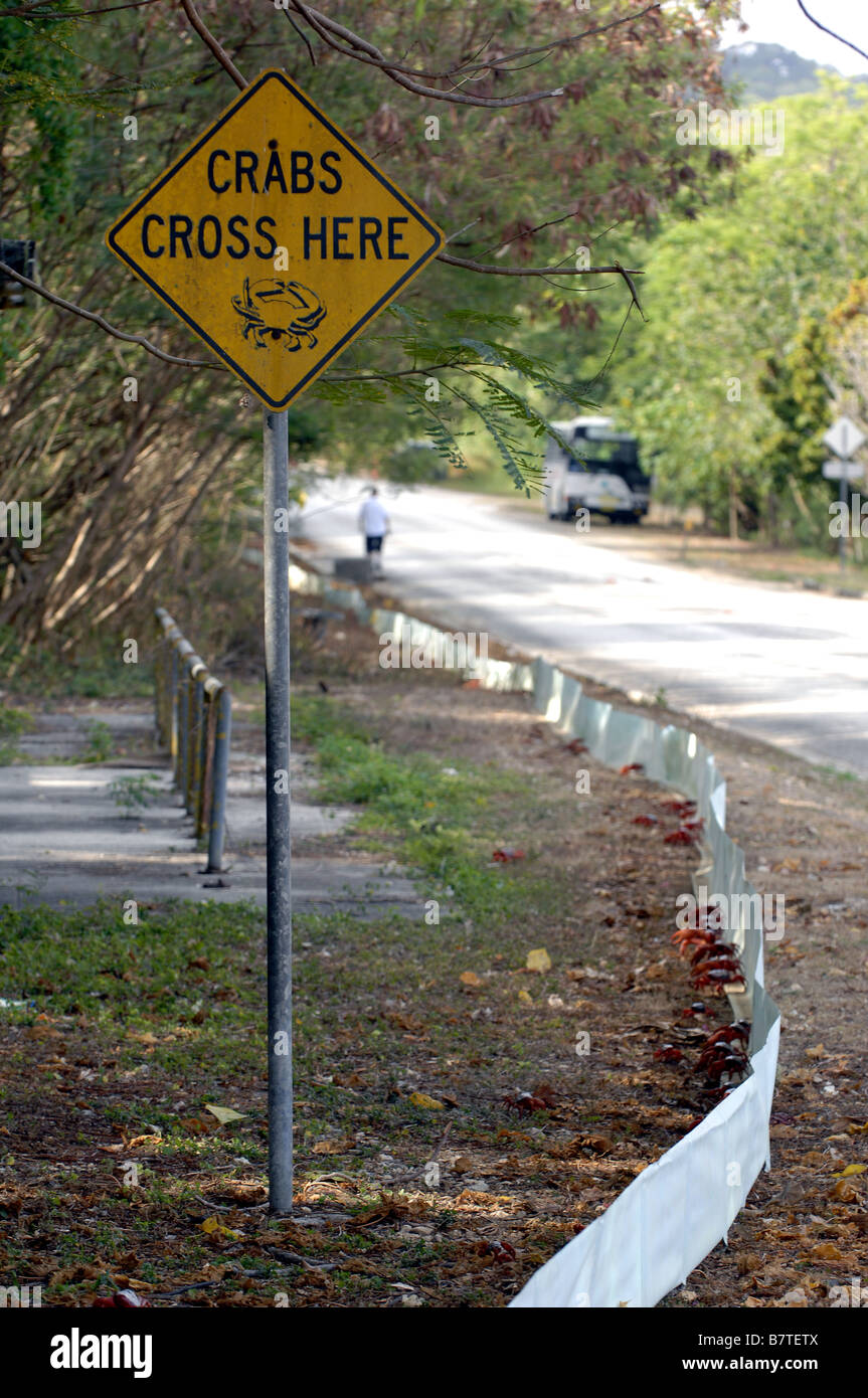 Ein Schild warnt Autofahrer, dass rote Krabben in Migration auf der Weihnachtsinsel Stockfoto