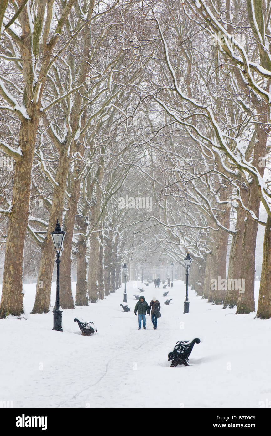 Green Park verschneiten London Vereinigtes Königreich Stockfoto