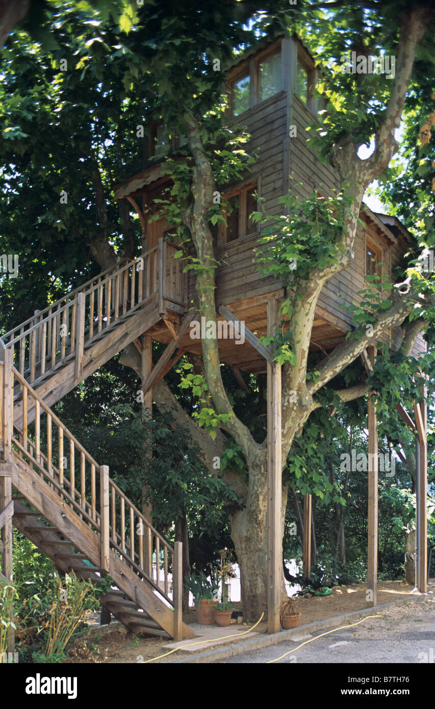 Baumhaus in Platanen, Château des Creissauds, Aubagne, Provence, Frankreich Stockfoto