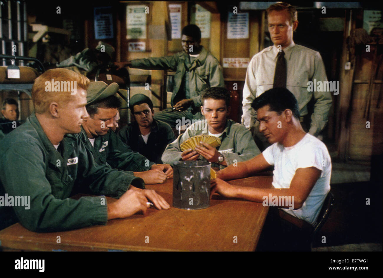 Sergent la terreur Die hohe Masse nehmen! Jahr: 1953 USA Richard Widmark Regie: Richard Brooks Stockfoto