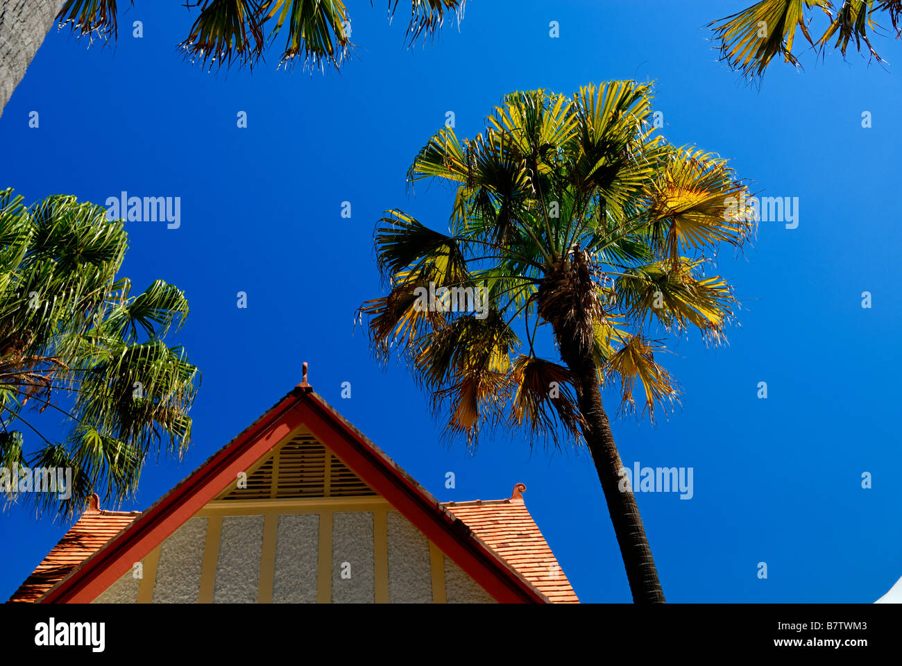 Alte Fliesen und Palmen. Circular Quay, Sydney, Australien Stockfoto