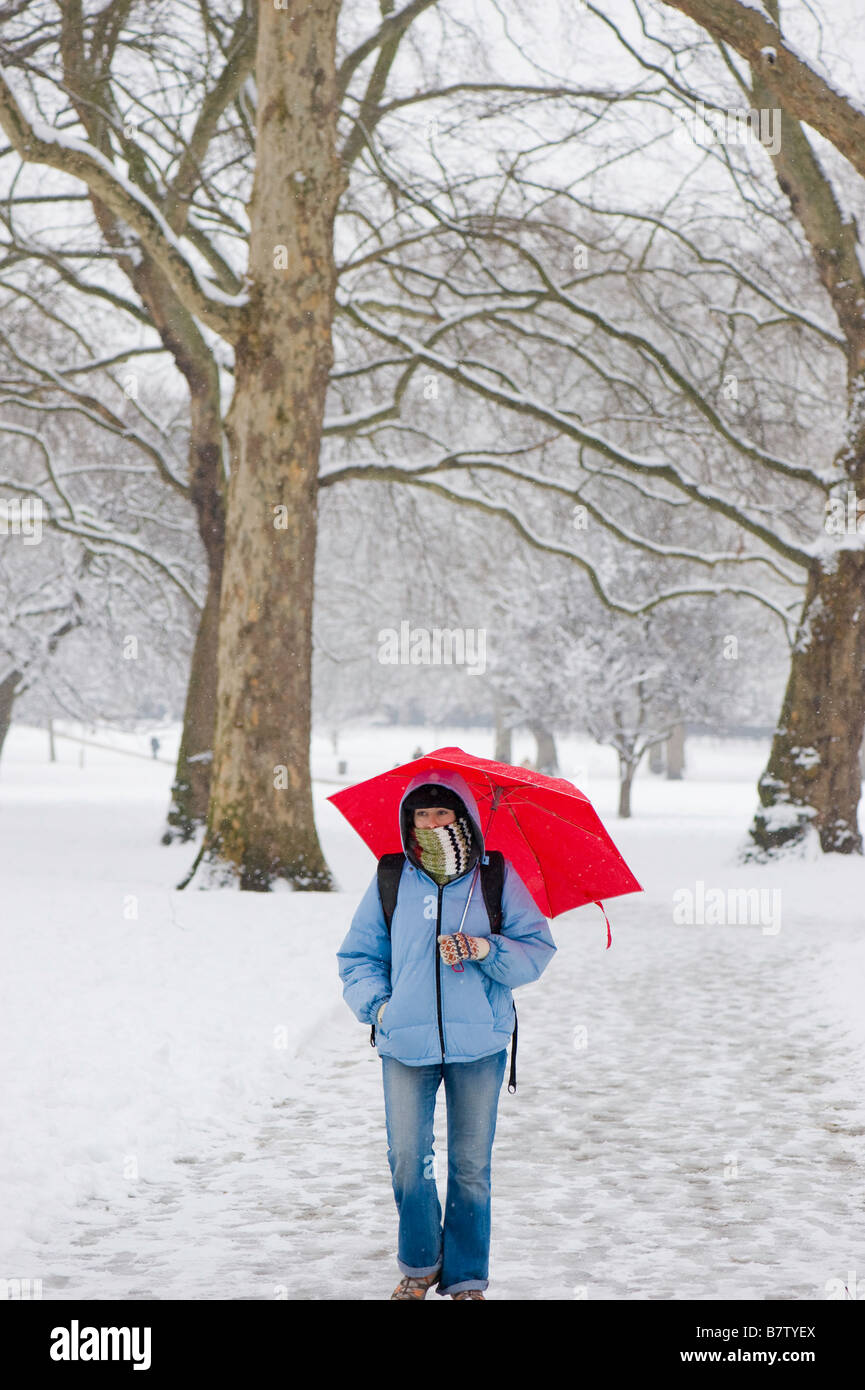 Green Park verschneiten London Vereinigtes Königreich Stockfoto