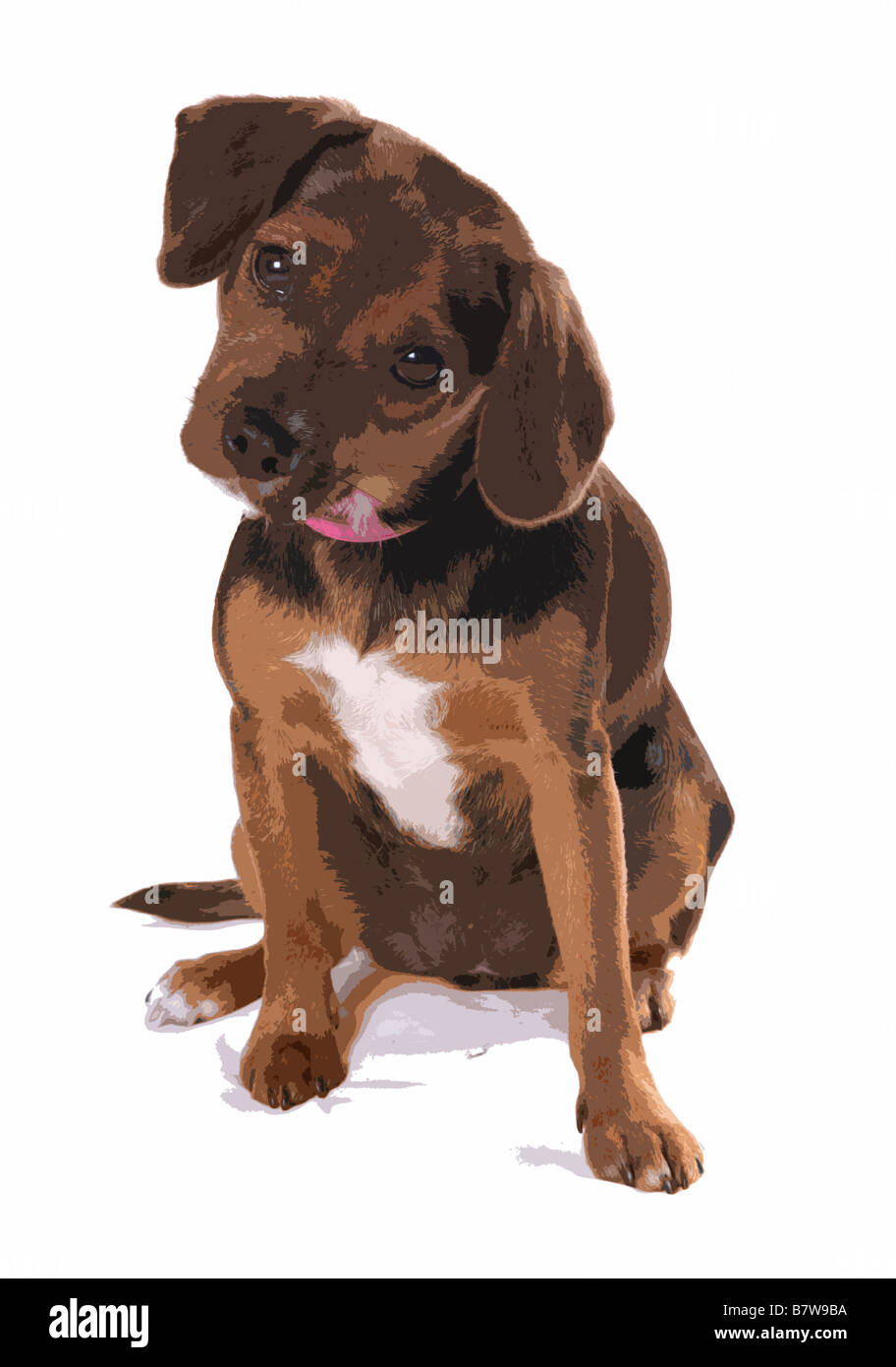 English Foxhound Welpen Popart Portrait illustration Stockfoto