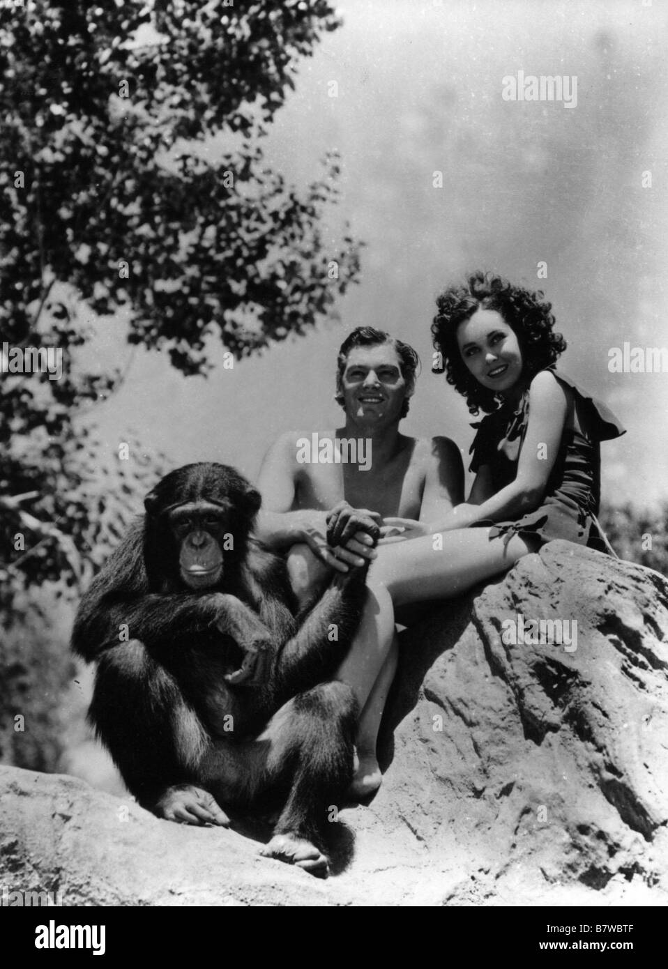 Tarzan entweicht Jahr: 1936 USA USA Johnny Weissmuller, Maureen O'Sullivan's Regisseur: Richard Thorpe Stockfoto
