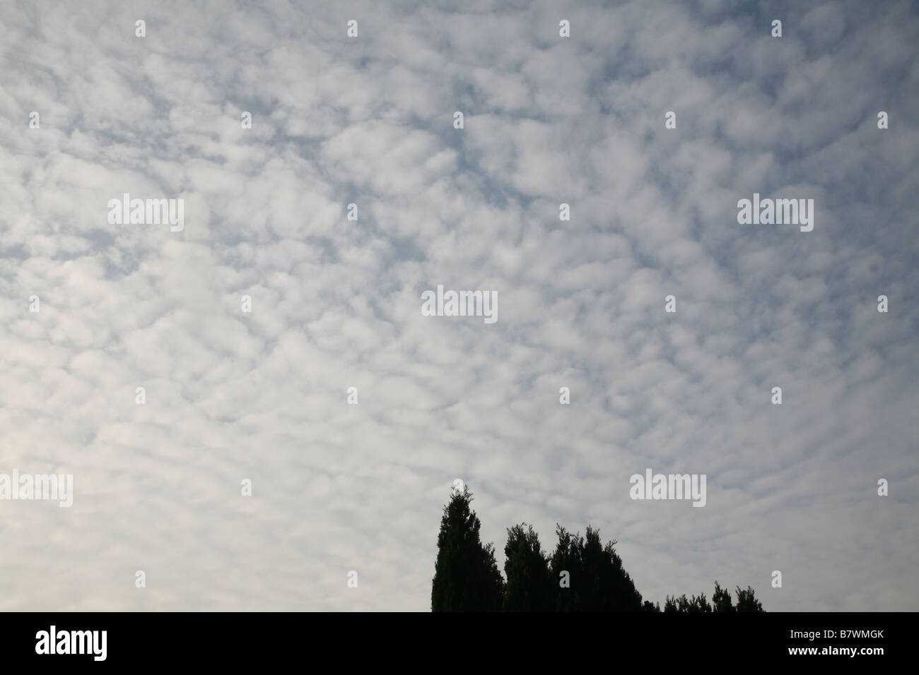 Altocumulus Makrele Himmel Kumuluswolke Angabe atmosphärischen Instabilität bei Zwischenebenen in der Atmosphäre Stockfoto