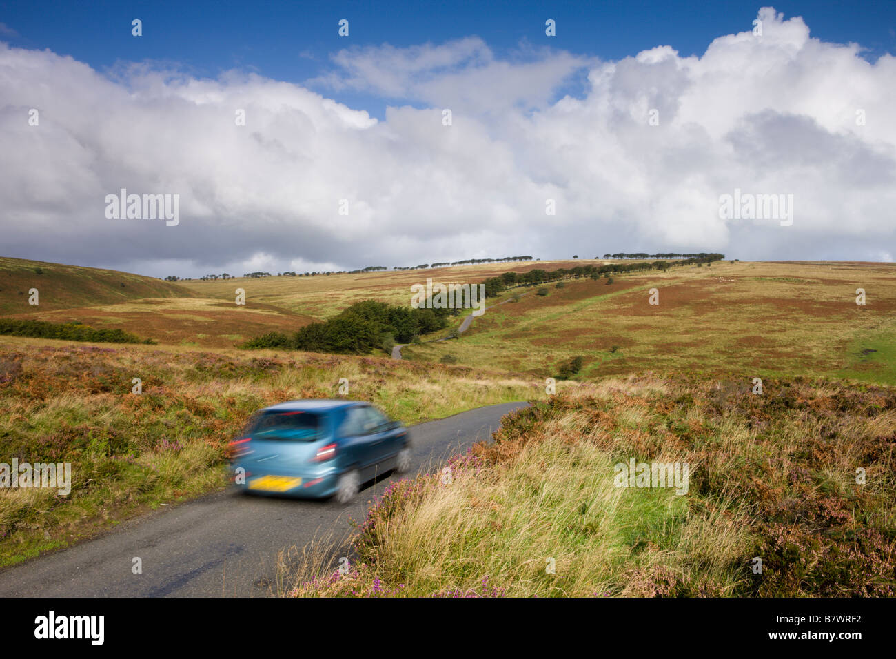 Touristen, die Fahrt durch die Heide von Exmoor Nationalpark Somerset England Stockfoto