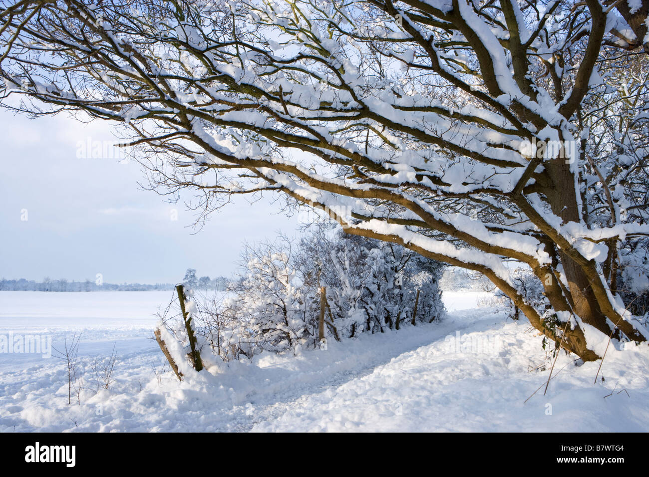 Wanderweg und Feld unter Schnee. Send, Surrey, UK. Stockfoto