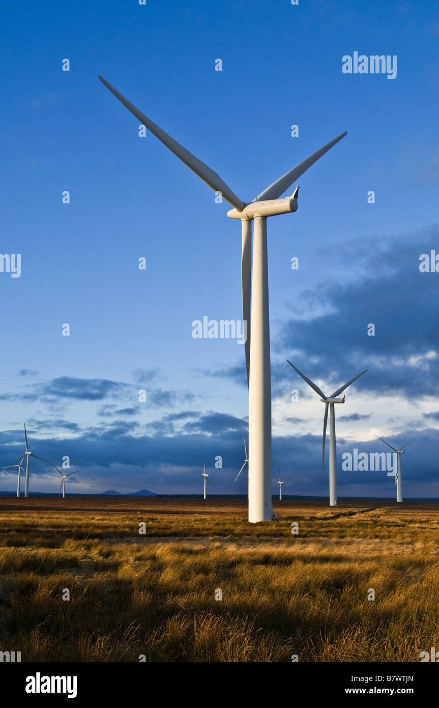 dh Causeymire Wind Farm ELEKTRIZITÄT CAITHNESS Scotland Npower Renewables Power RWE Wind Turbine Farms Windpark uk erneuerbare Winterturbinen Stockfoto
