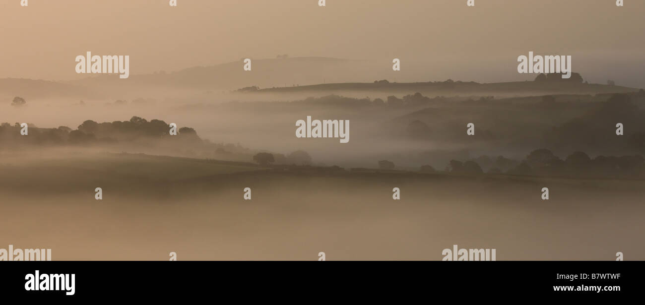 Nebel hängt tief über Felder in der Morgendämmerung im ländlichen Devon Crediton Devon England Stockfoto