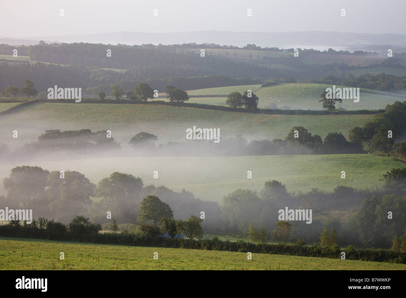 Nebel hängt tief über Felder in der Morgendämmerung im ländlichen Devon Crediton Devon England Stockfoto