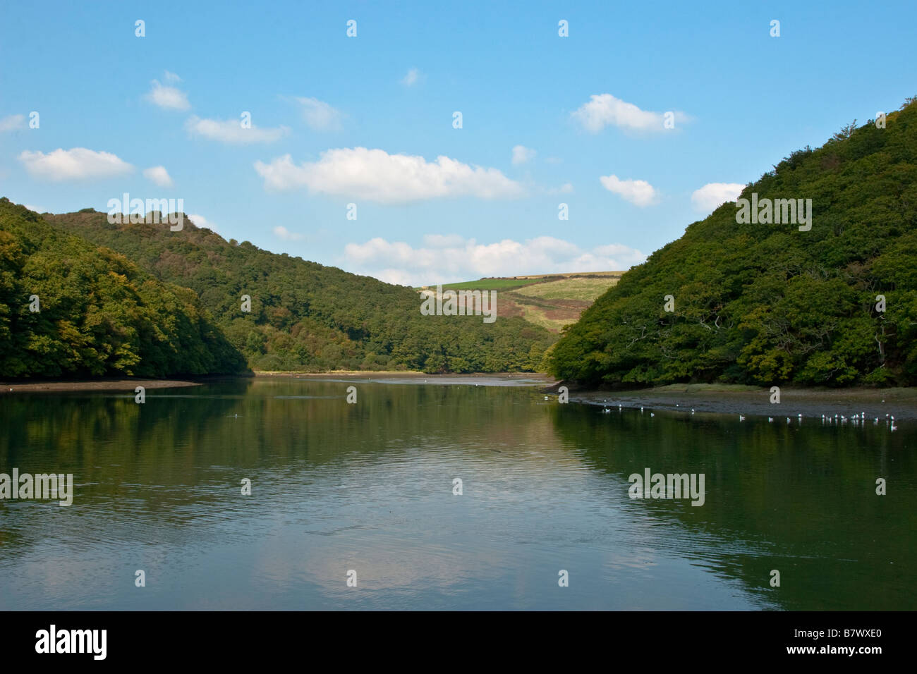 West Looe Flussmündung bei Flut Stockfoto