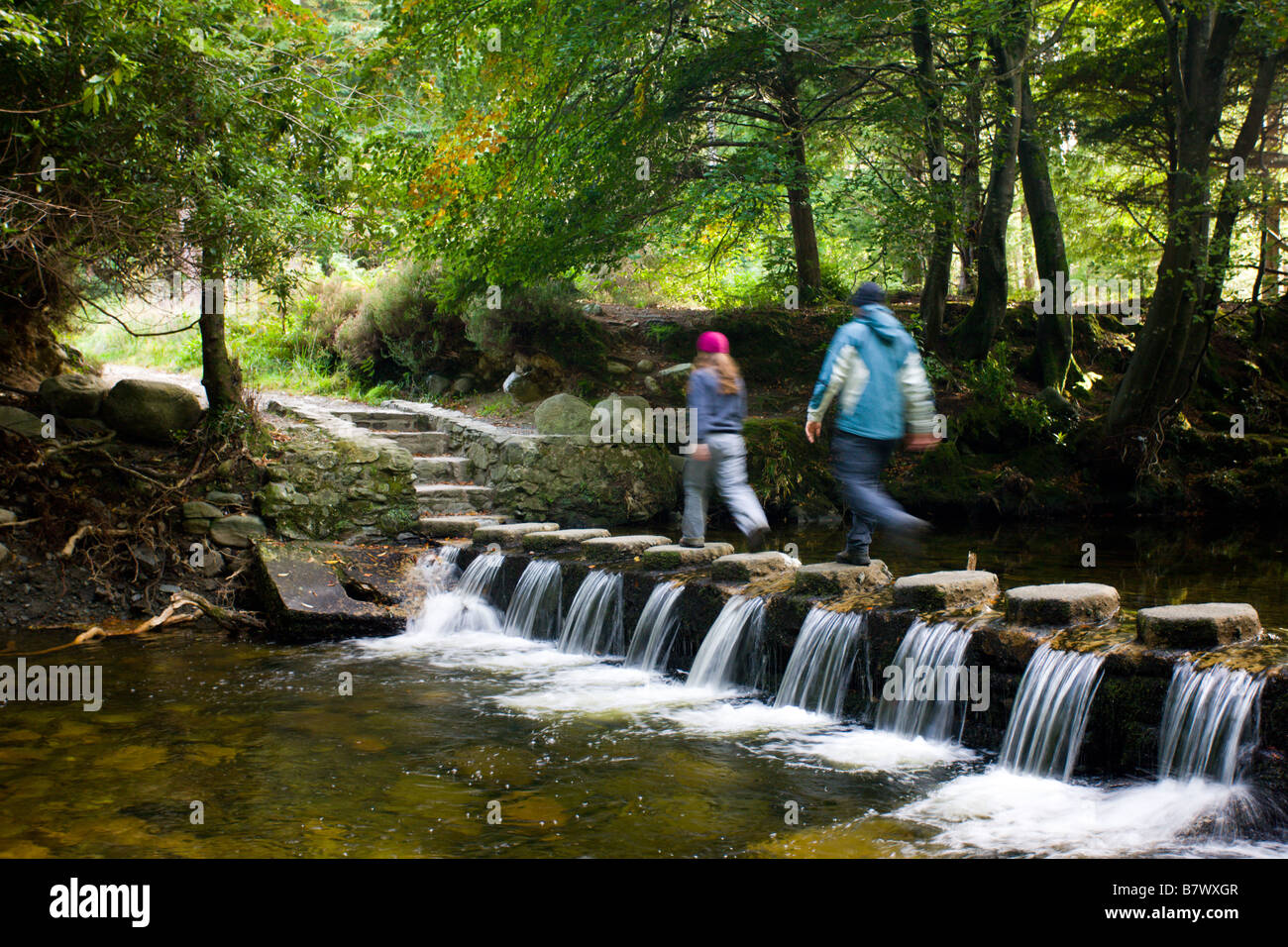 Wanderer eine kaskadierende Stream in Tollymore Forest Park County Down Northern Ireland Trittsteine überqueren Stockfoto