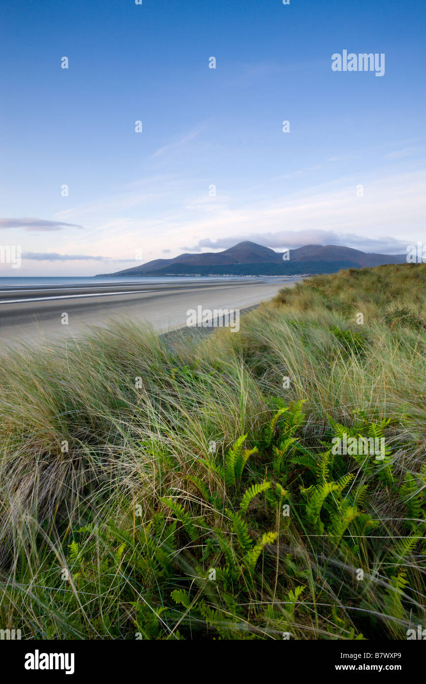 Murlough Nature Reserve mit Blick auf Dundrum Bucht und die Berge von Mourne jenseits County Down Northern Ireland Stockfoto