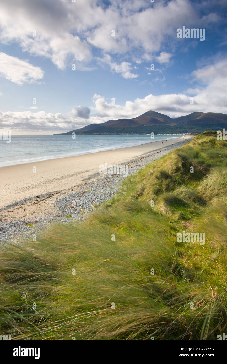 Sanddünen am Murlough neben Dundrum Bay mit die Berge von Mourne im Hintergrund County Down Northern Ireland Stockfoto