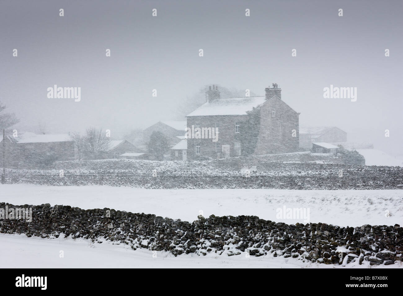 Starker Schneefall in den Yorkshire Dales Stockfoto
