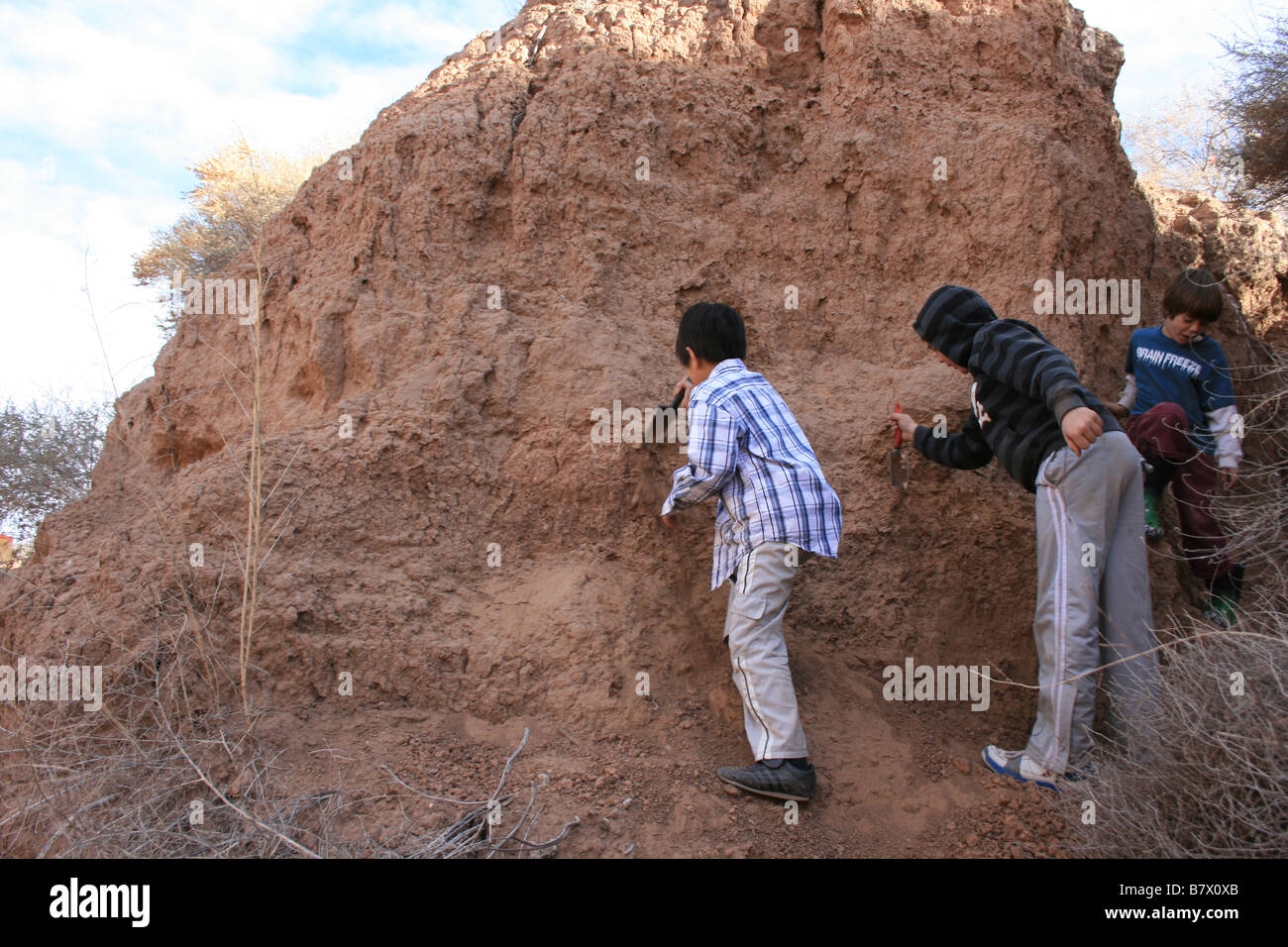 Jungen auf der Suche nach Fossilien, Albuquerque, New Mexico Stockfoto
