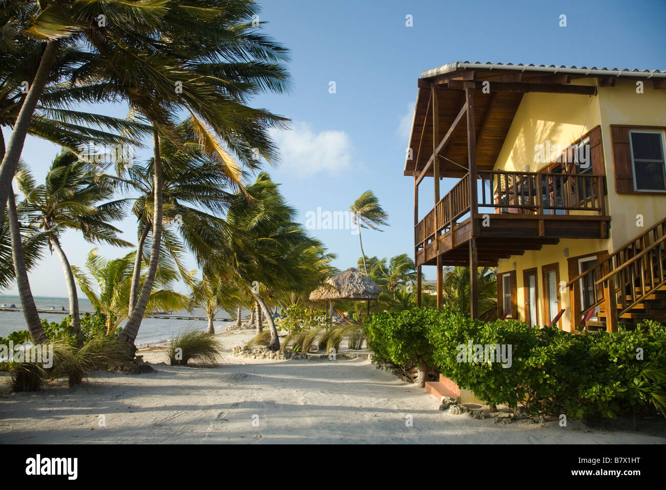 BELIZE Ambergris Caye zwei Geschichte Villen im El Pescador Resort nördlich von San Pedro Palm Bäume sandiger Strand Stockfoto