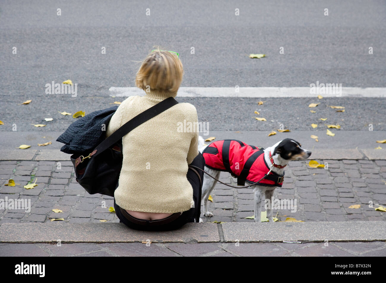 Frau und Hund Stockfoto