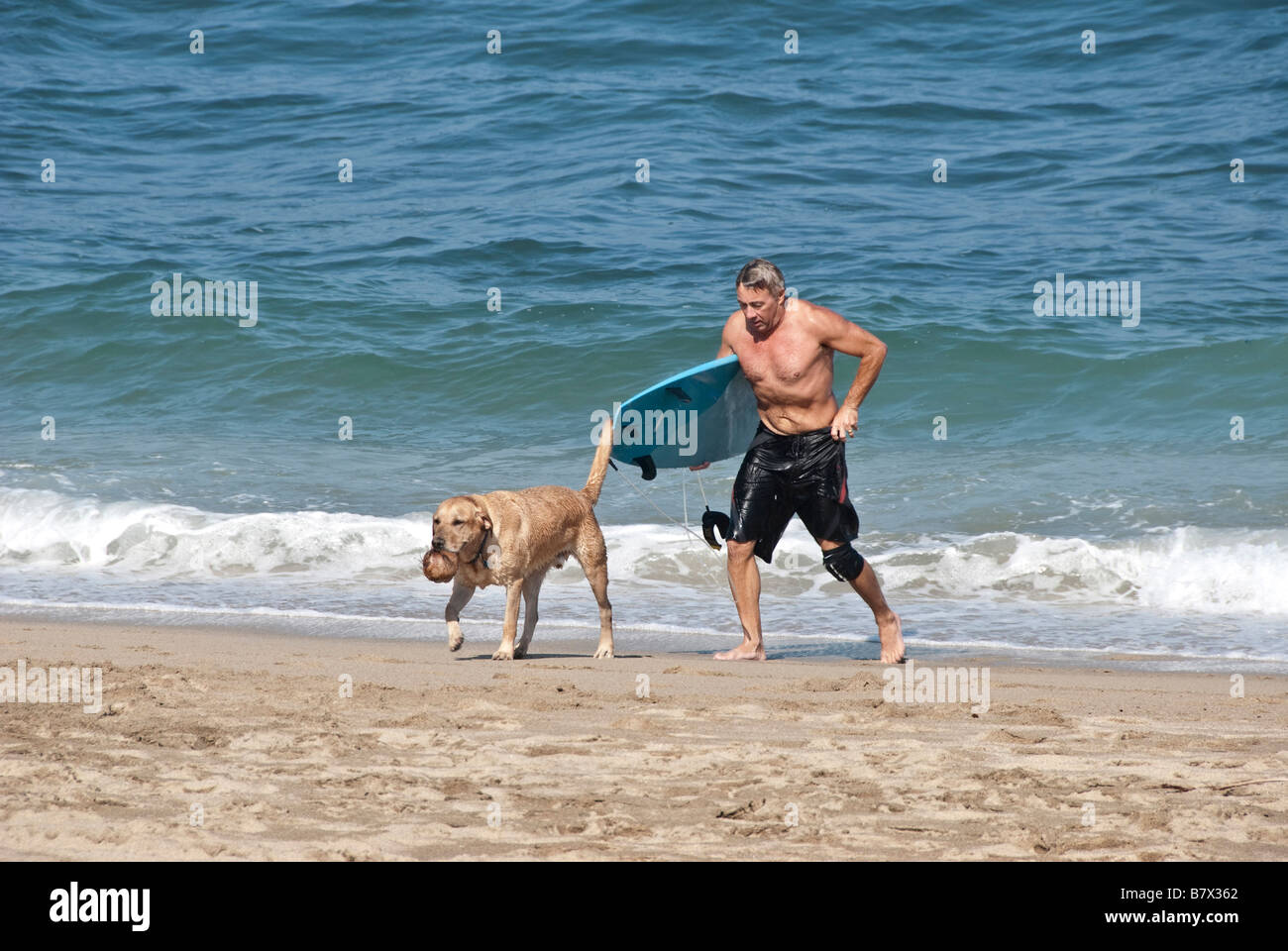 Mann mittleren Alters Surfer & seinen Hund, beide durchnässt von Meerwasser, kommen aus den Wellen in Sayulita, Nayarit Mexiko Stockfoto