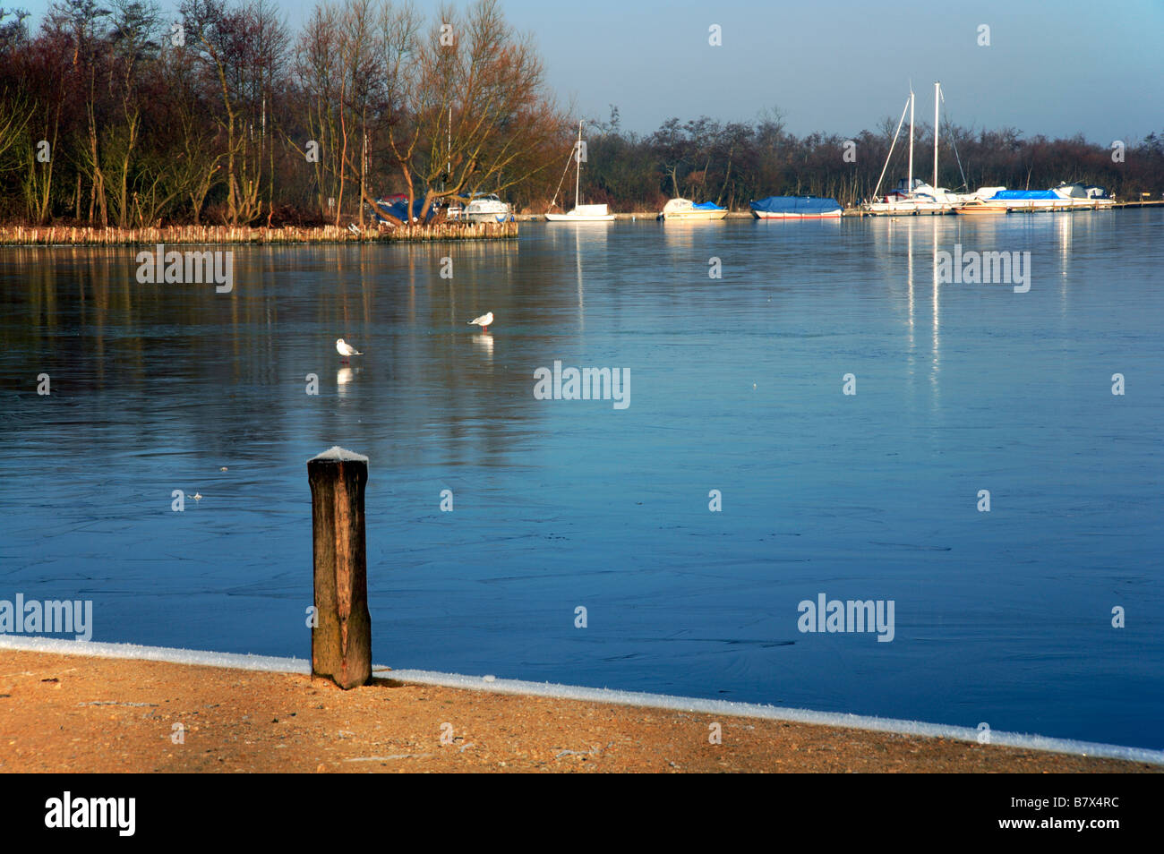 Blick auf Malthouse breit am Ranworth, Norfolk, UK, Eis im Winter mit Reflexionen abgedeckt. Stockfoto