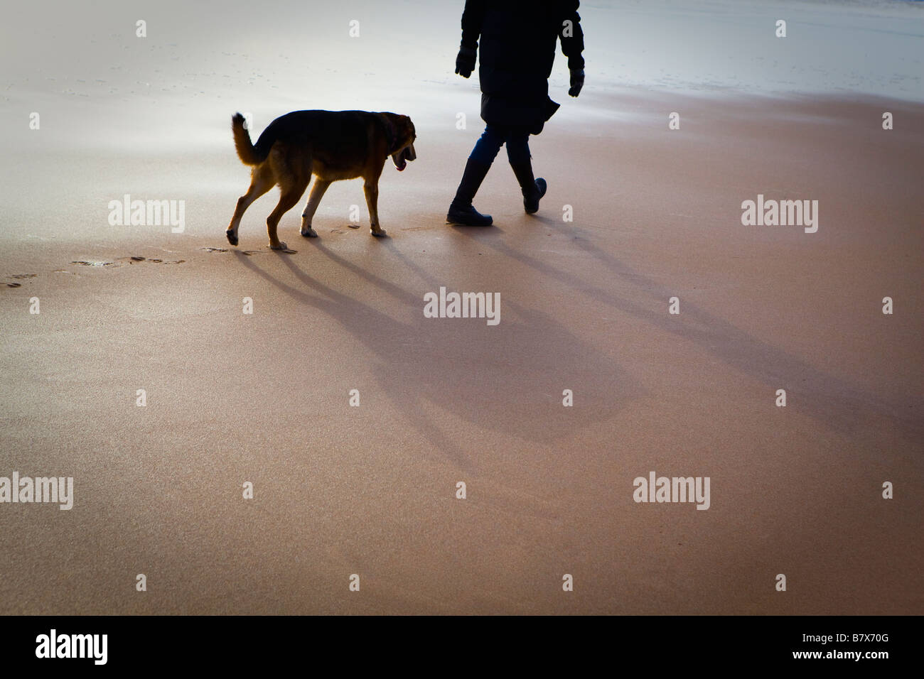 Hund nach Person am Strand Stockfoto