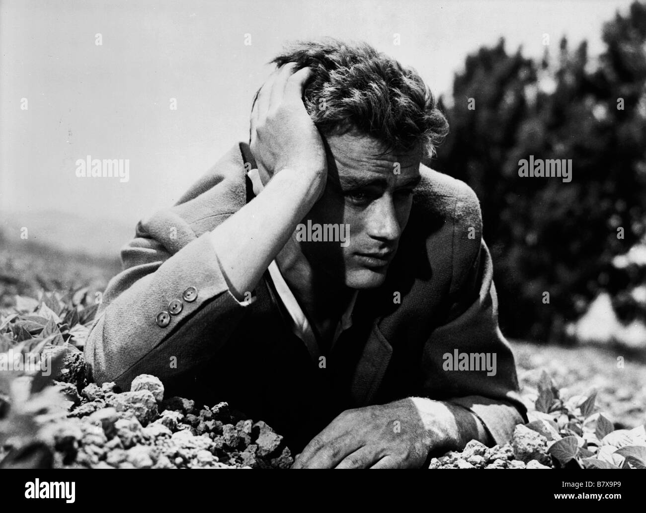 jenseits von eden james dean