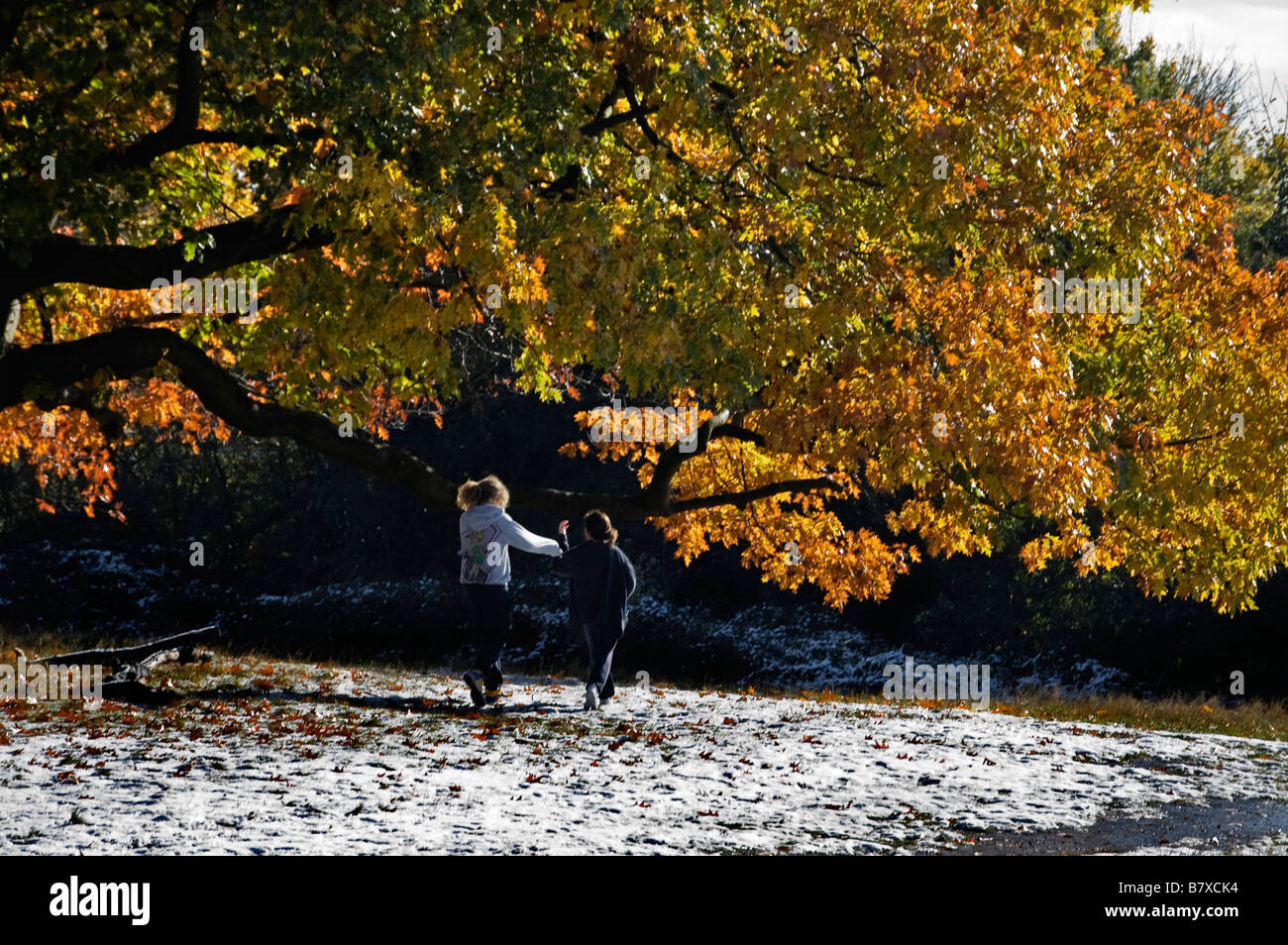 Zwei Kinder spielen im Herbst Schnee, Hampstead Heath, London, England Stockfoto
