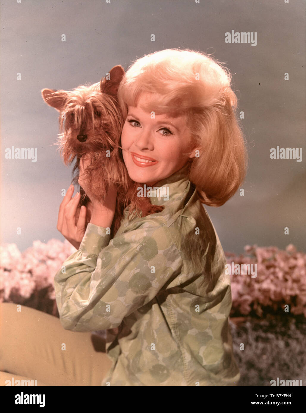 Connie Stevens Connie Stevens Connie Stevens Stockfoto