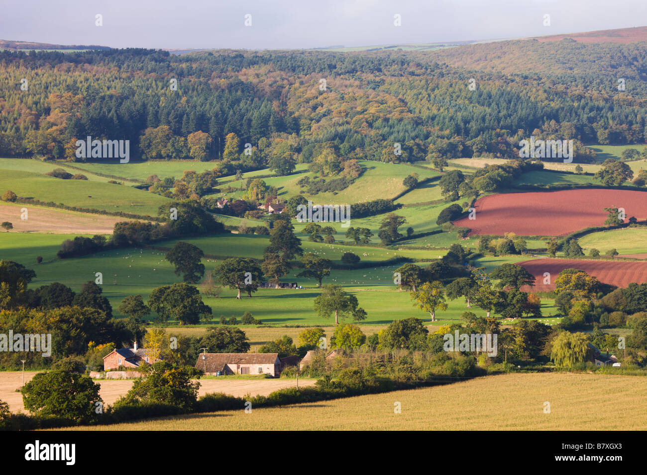 Eine hügelige Landschaft im Frühherbst in der Nähe der Ortschaft Luccombe Exmoor Nationalpark Somerset England Stockfoto