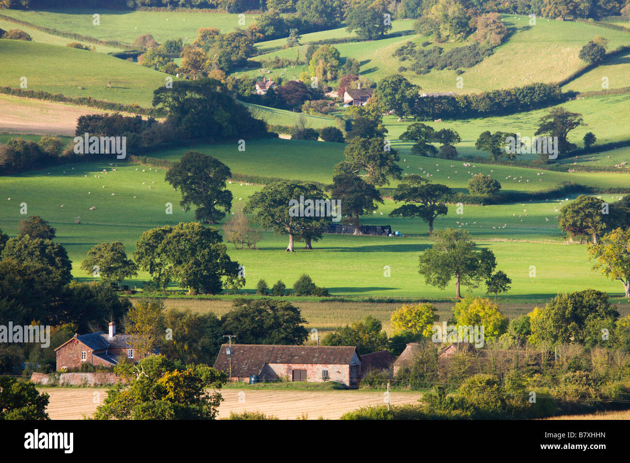 Blick über die offene Landschaft Blackford zu Luccombe Exmoor Nationalpark Somerset England Stockfoto