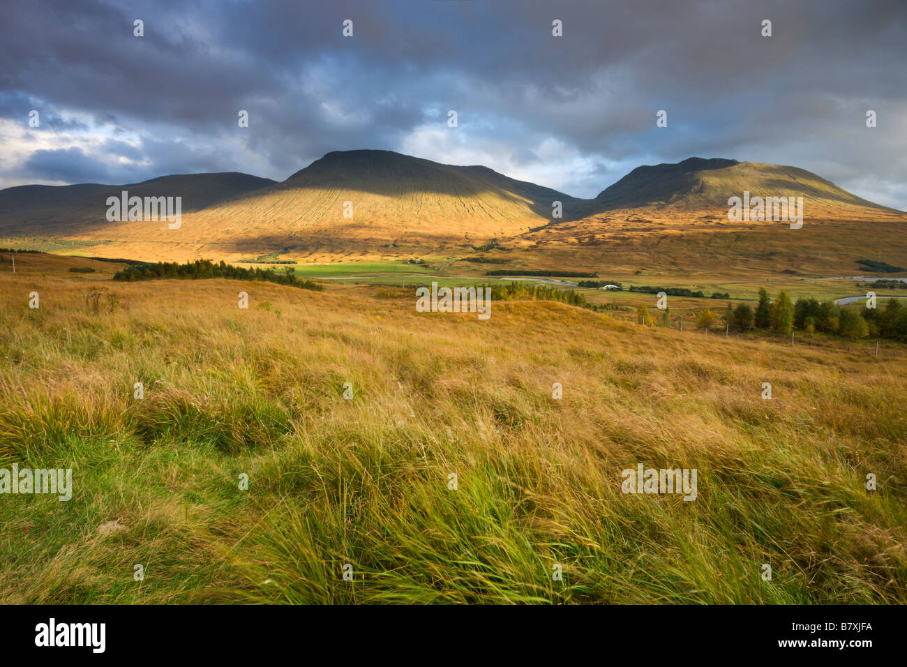 Herbstliche Sonne glüht auf den Bergen der Beinn Achaladair Beinn eine Dothaidh und Beinn Chreachain in der Nähe von Rannoch Moor-Schottland Stockfoto