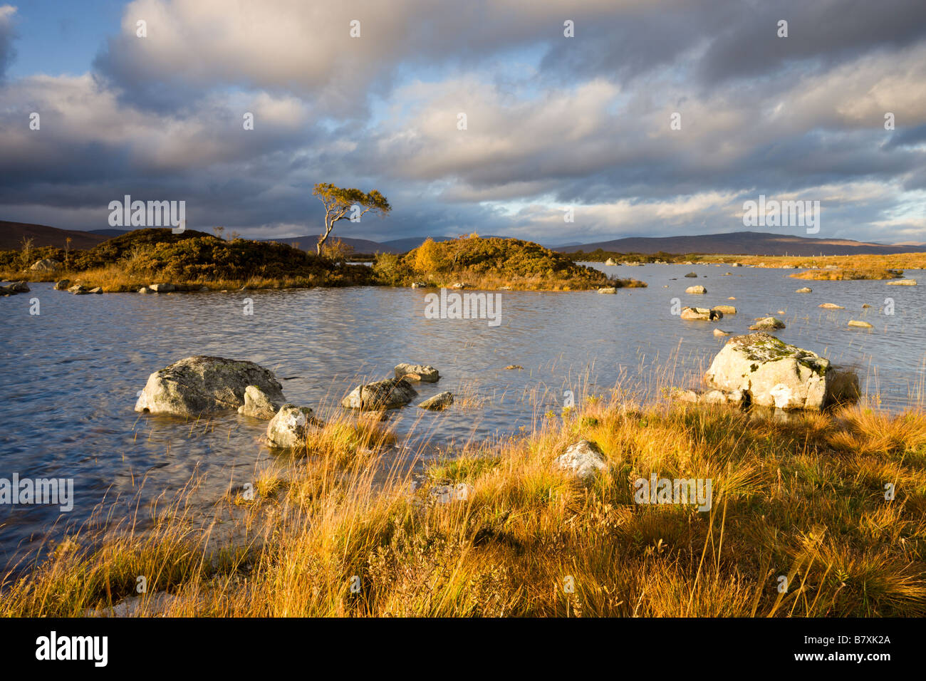 Man keine Achlaise im Herbst Rannoch Moor Highland-Schottland Stockfoto
