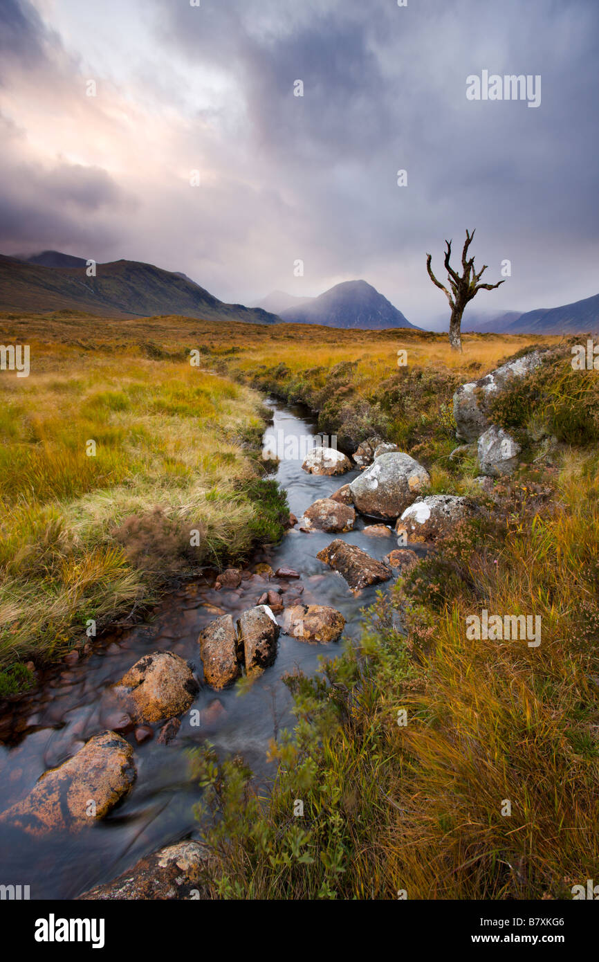 Bach durch Rannoch Moor Wildnis Hochland Schottland Stockfoto