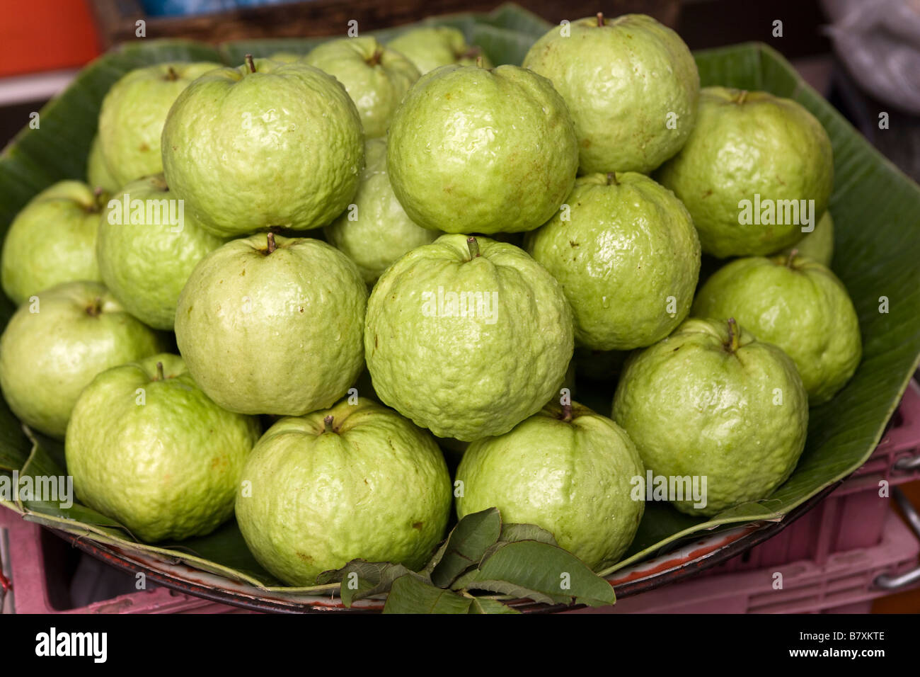 Guave-Frucht-Bangkok-Thailand Stockfoto
