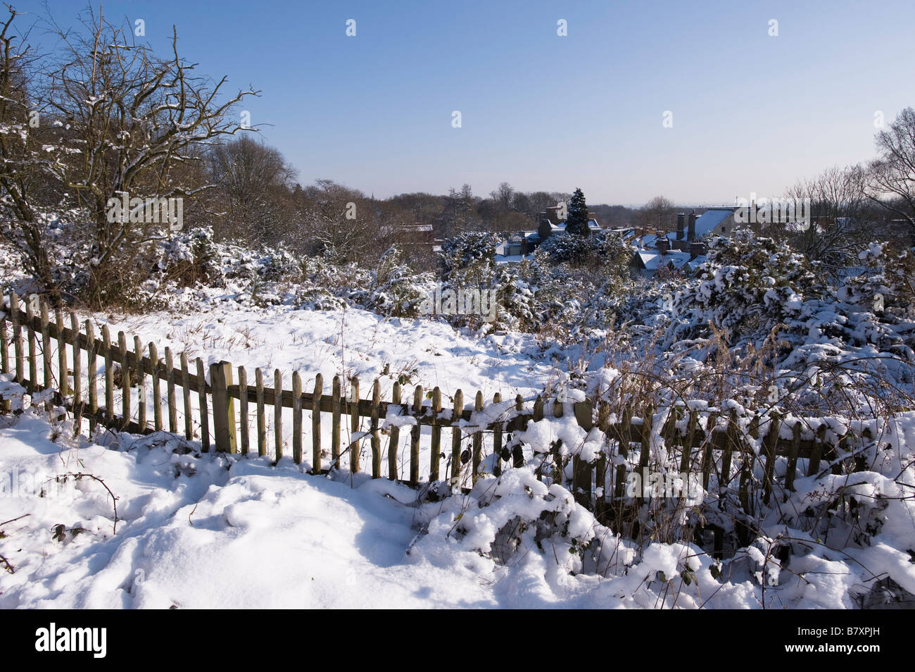 Hampstead Heath bedeckt Schnee NW3 London Vereinigtes Königreich Stockfoto