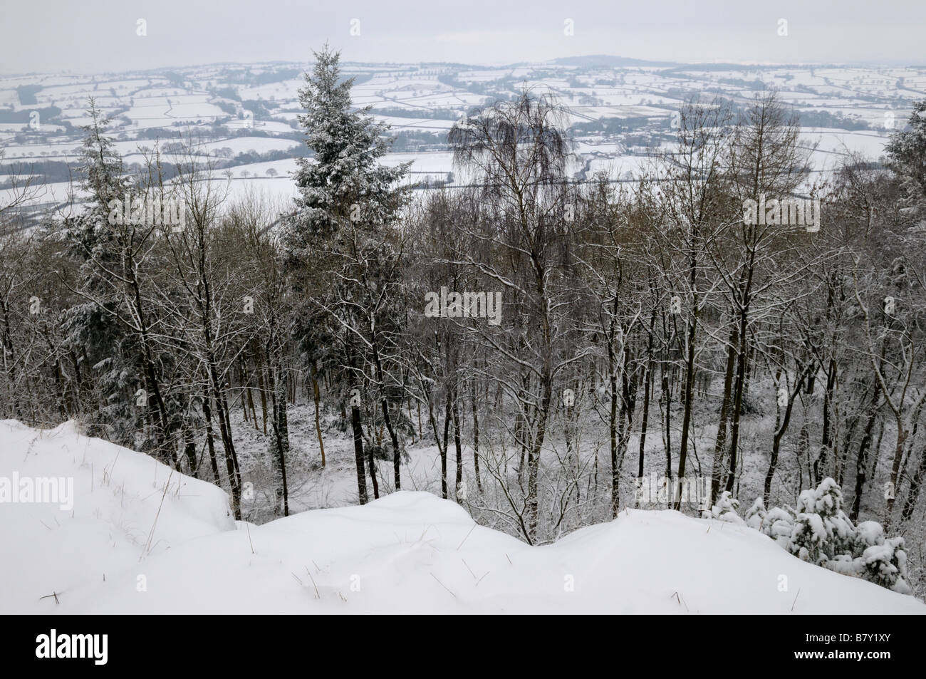 Winter on Wenlock Edge, Shropshire, England Stockfoto