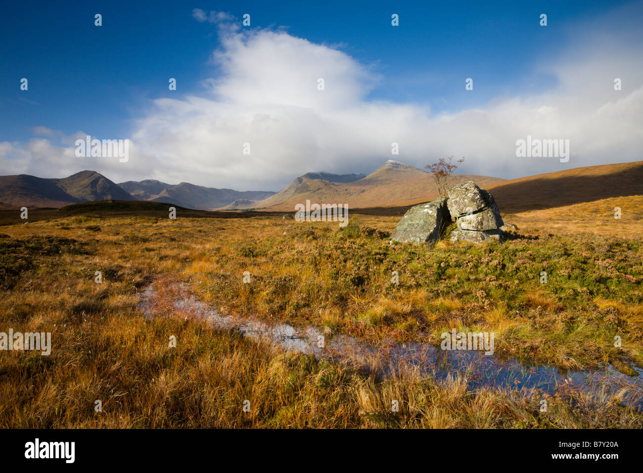 Moor und Berge auf Rannoch Moor Highlands Schottland Stockfoto